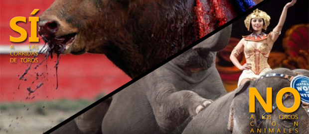 SÍ a las corridas de toros, NO  a los circos con animales